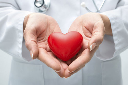 Dr. holding a plastic heart at Surf City Oral and Maxillofacial Surgery in Huntington Beach, CA